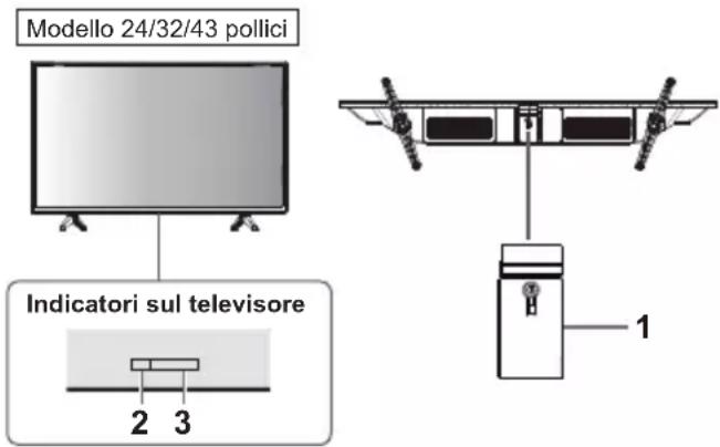 PANASONIC TX-24MSW504 - Uso dei comandi del televisore - 1