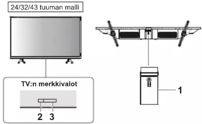 PANASONIC TX-24MSW504 - TV:n ohjainten käyttö - 1