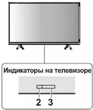 PANASONIC TX-24MSW504 - Использование органов управления телевизора - 1