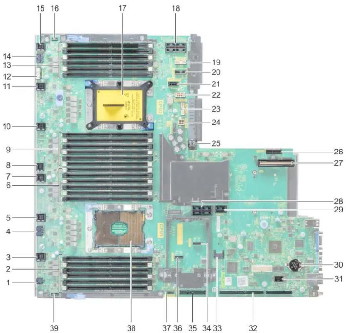 DELL Precision 7920 Rack - Cavaliers et connecteurs - 1