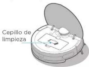 Cepillo de limpieza