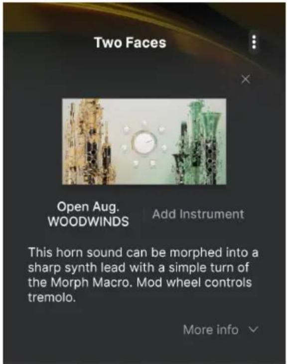 Arturia Analog Lab Pro - Partie Preset Info - 3