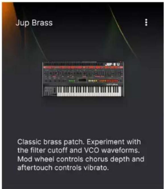 Arturia Analog Lab Play - Presets Single et Multi - 2