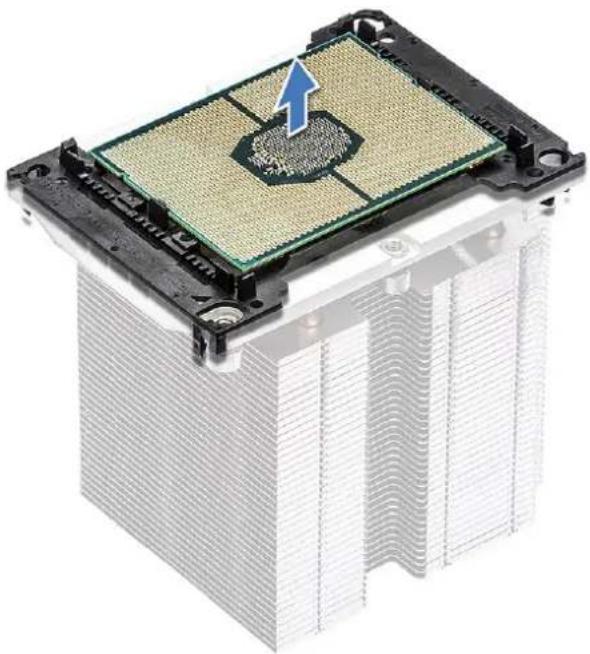 DELL Precision 7920 Tower - Αφαίρεση της CPU - 2