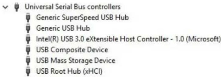 Universal Serial Bus controllers Generic SuperSpeed USB Hub Generic USB Hub Intel(R) USB 3.0 eXtensible Host Controller - 1.0 (Microsoft) USB Composite Device USB Mass Storage Device USB Root Hub (xHCI)