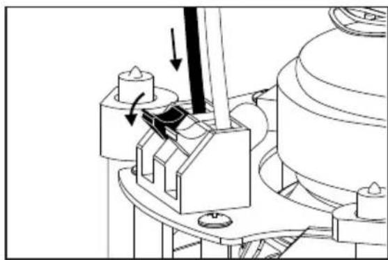 TRIANGLE Secret EMT7 - Branchements cables haut-parleur - 3