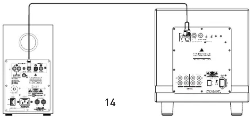 TRIANGLE Elara LN05A - Connexion subwoofer - 2