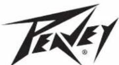 PEAVEY ValveKing 20 MH - ValveKing® 20MH & ValveKing® 100 Head - 1