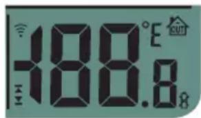 Fysic FKW-2500 - THERMOMETER: - 1