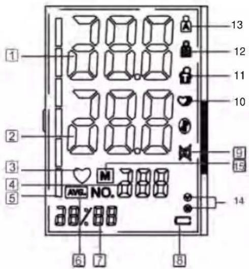Fysic FB150 - 3