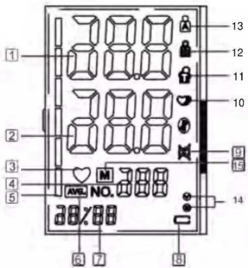 Fysic FB150 - FYSIC - 6
