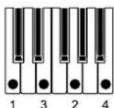 KORG Keystage - Commande 1 [Mode] - 9