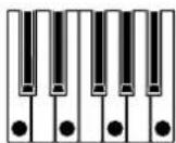 KORG Keystage - Commande 1 [Mode] - 7