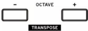 KORG Keystage - Transposition par octave - 1