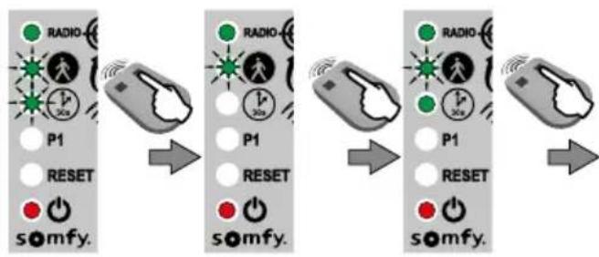 SOMFY Freevia Essential - Voetgangersopening - 2