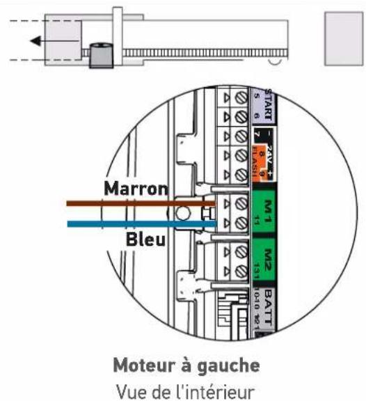 SOMFY Freevia Line - Câblage du moteur - 4