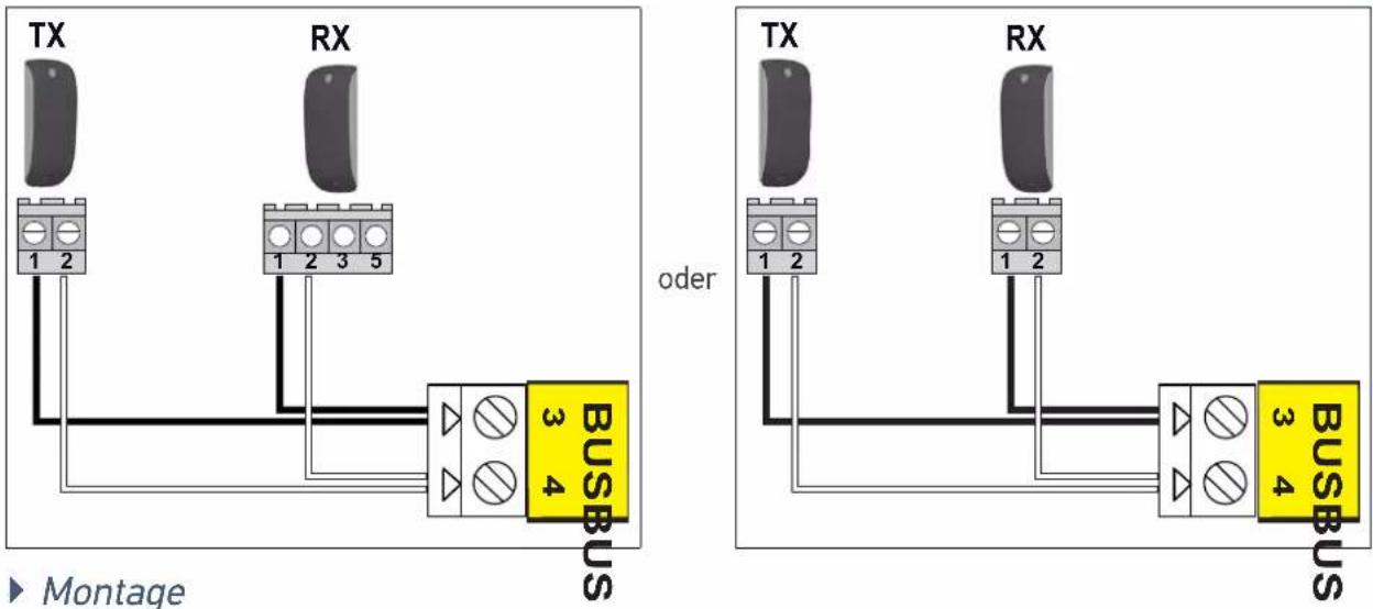 SOMFY Freevia Line - Lichtschranke - 3