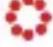 Lorex W461ASD-B - Status indicator - 4