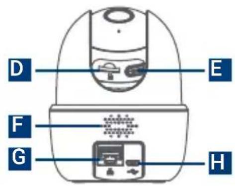 Lorex W462AQD-EG - What's included - 9