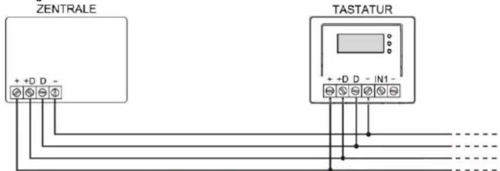 ZENTRALE + +D D - TASTATUR + +D D - IN1 -