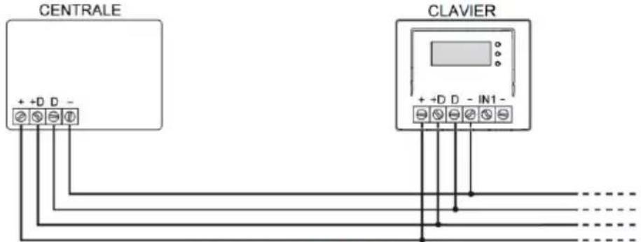 CENTRALE + +D D - CLAVIER + +D D - IN1 -