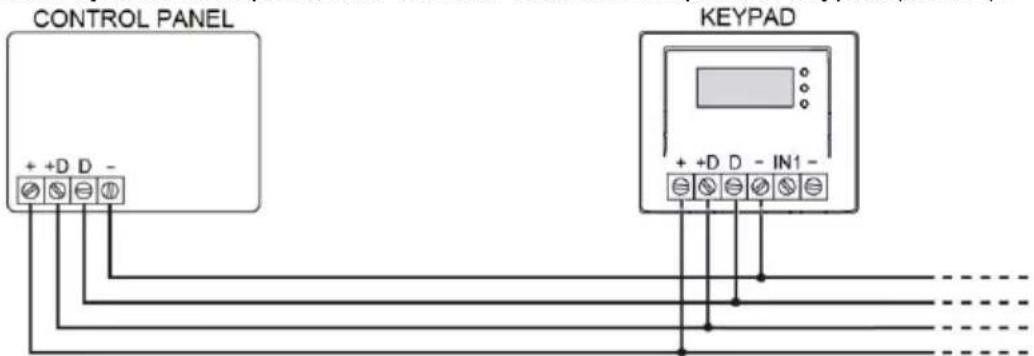 CONTROL PANEL + +D D - KEYPAD + +D D - IN1 -