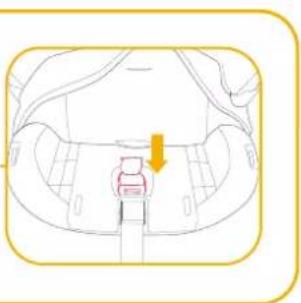Joie i-Bold - enhanced child restraint - 34