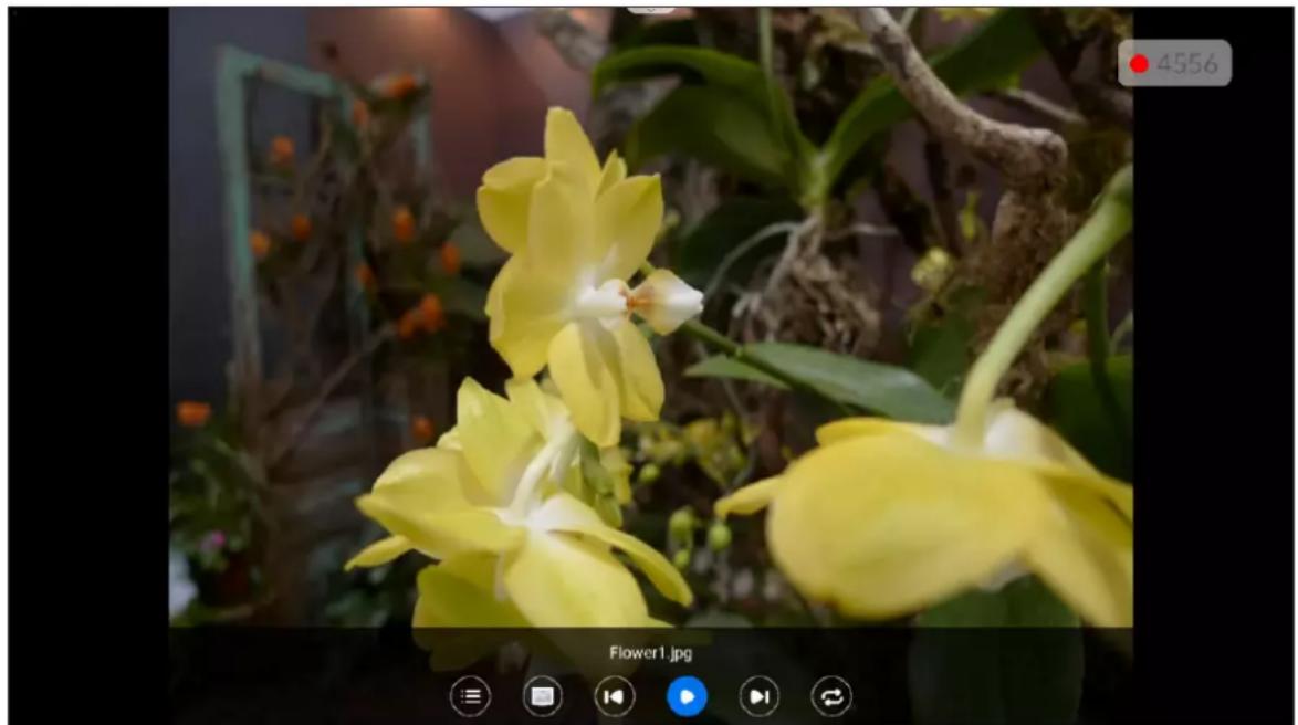 OPTOMA N3981K - Regarder des photos - 1
