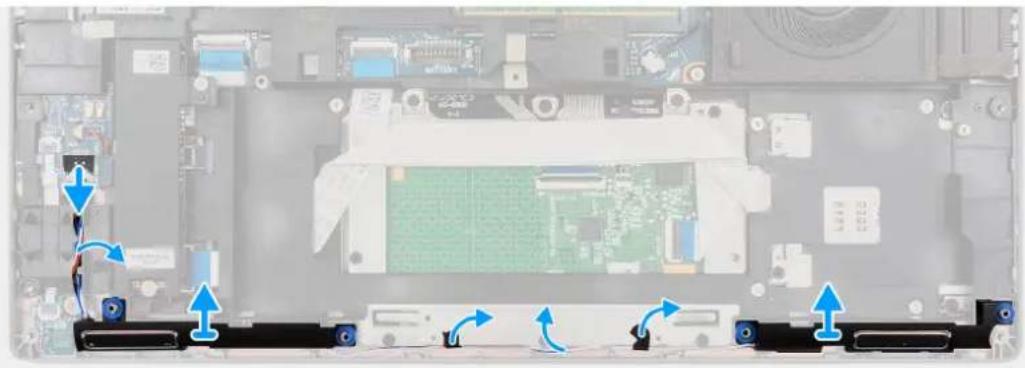 DELL Latitude 5431 - สัมพิธีรุคการณ์: - 2