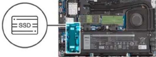 DELL Latitude 5431 - สัตภ์มาระ: - 2