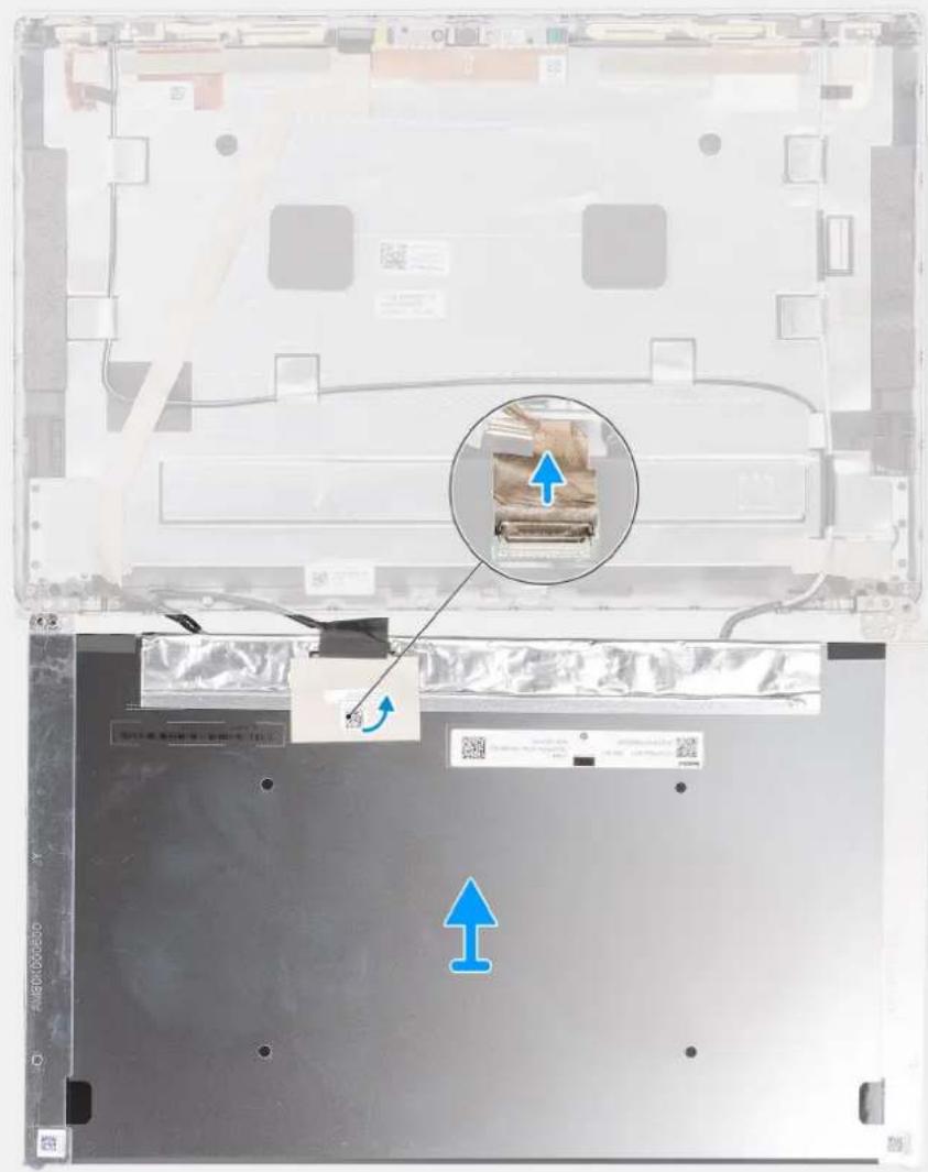 DELL Latitude 5431 - สัมพิธีดูกราจ: - 5