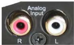 CABASSE The Pearl Sub - ENTREE ANALOGIQUE "Analog input" - 1