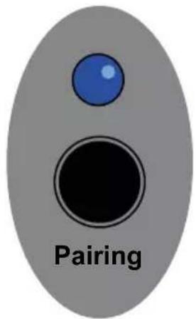 Pairing