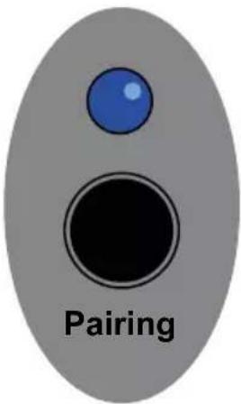 Pairing