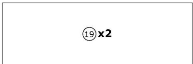 ⑲x2