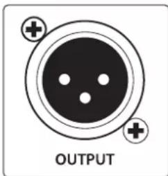 OUTPUT