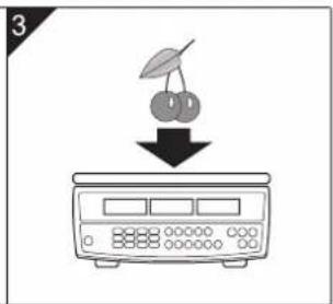 AVERY BERKEL FX50 - Installation de la balance - 9