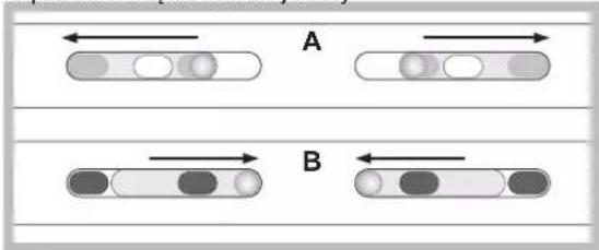 A B