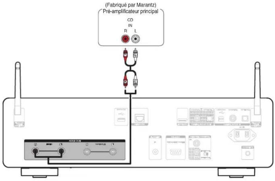 MARANTZ CD 50n - ■ Connexion à la borne d'entrée CD de l'amplificateur - 1