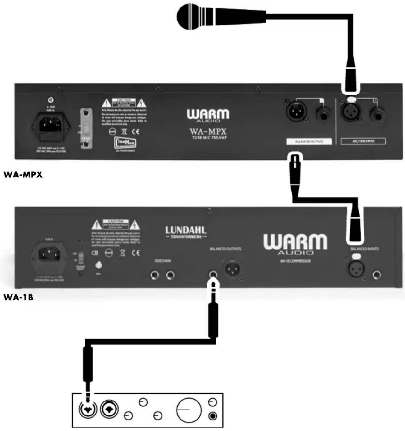 Warm Audio WA-1B - DEUTSCH - 1