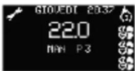 EDILKAMIN EVIA2 - MANUTENZIONE: - 1