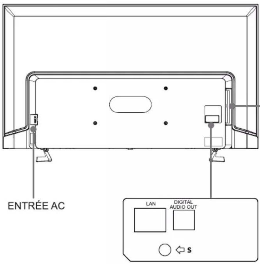 ENTRÉE AC LAN DIGITAL AUDIO OUT s