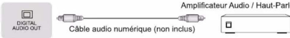 HISENSE 55A76GQ - Etablissement des Connexions - 3