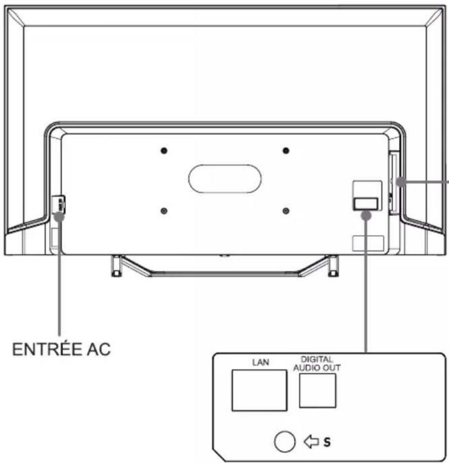 ENTRÉE AC LAN DIGITAL AUDIO OUT s
