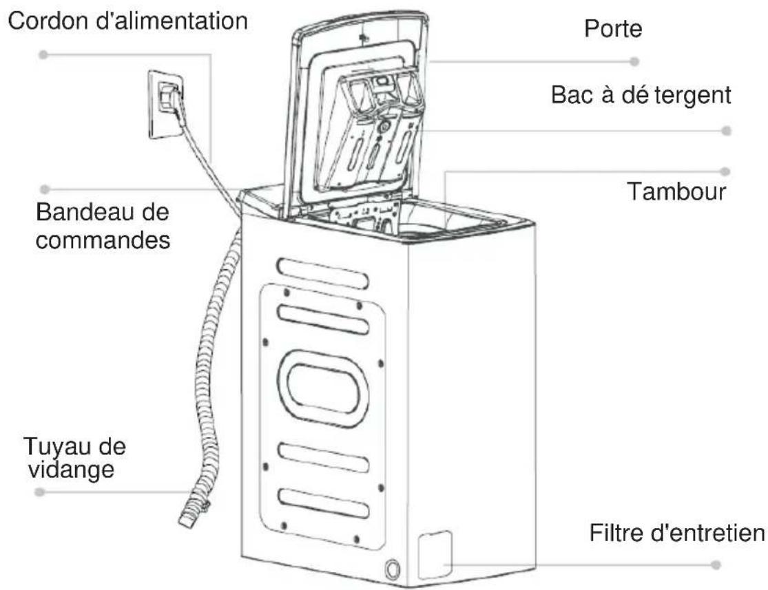Cordon d'alimentation Porte Bac à dé tergent Tambour Bandeau de commandes Tuyau de vidange Filtre d'entretien