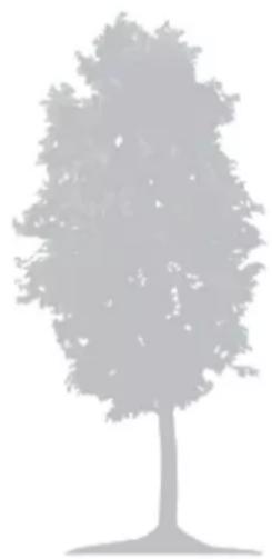 Texas RMX1000 - Trees - 1