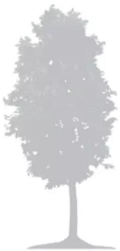 Texas RMX2000 - Træer - 1
