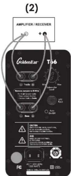 GoldenEar T66 - Raccordement des cables d'enceintes seuls - 2