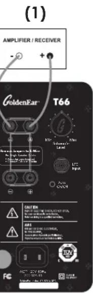 GoldenEar T66 - Raccordement des cables d'enceintes seuls - 1