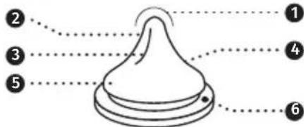 Lansinoh 190502 - Clinically proven to maintain established breastfeeding patterns\* - 4